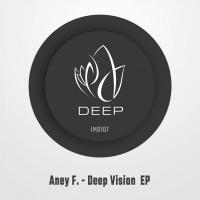 Artwork for Deep Vision EP by Aney F.