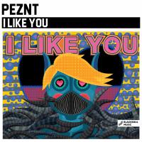 Artwork for I Like You by PEZNT