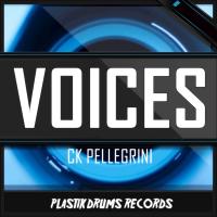 Artwork for Voices (Tools) by Ck Pellegrini