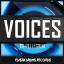 Artwork for Voices (Tools)