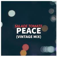 Artwork for Peace (Vintage Mix) by Salade Tomate