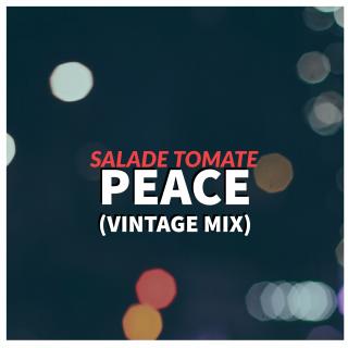 Artwork for Peace  (Vintage Mix)