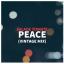 Artwork for Peace  (Vintage Mix)