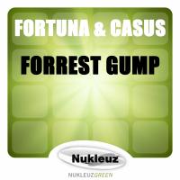 Artwork for Forrest Gump by Fortuna & Casus