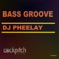 Artwork for Bass Groove by Dj Pheelay