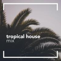 Artwork for Tropical House Mix by Tropical House