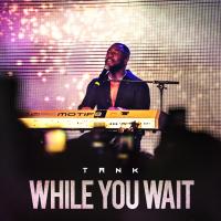 Artwork for While You Wait by Tank