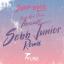 Artwork for Absolute (Sebb Junior Remix)