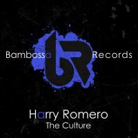 Artwork for The Culture by Harry Romero