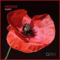 Artwork for Poppy by Nexuda