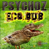 Artwork for Eco Dub by Psychoz