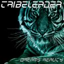 Artwork for DREAMS REALITY