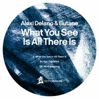 Artwork for What You See Is All There Is by Alexi Delano