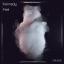 Artwork for Feel (Original Mix)