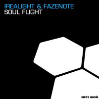 Artwork for Soul Flight by Irealight