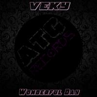 Artwork for Wonderful Day by VEKY