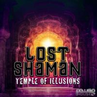 Artwork for Temple of Illusions by Lost Shaman