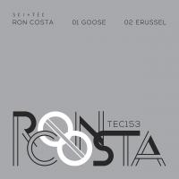 Artwork for Goose by Ron Costa