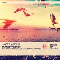 Artwork for Warm Wind EP by James Woods