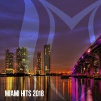 Artwork for Miami Hits 2018 by Various Artists