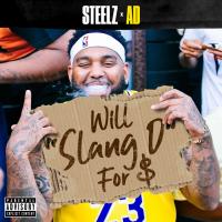 Artwork for Slang D by Steelz