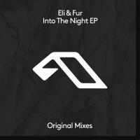 Artwork for Into The Night EP by Eli & Fur