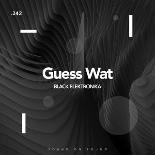 Artwork for Guess Wat (Original Mix)