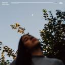 Artwork for Moonlight