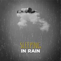 Artwork for Sleeping in Rain by Rain Sounds Sleep