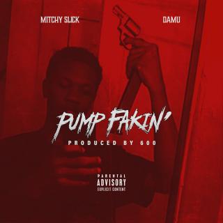 Artwork for Pump Fakin'