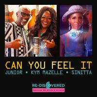 Artwork for Can You Feel It by Junior