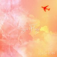 Artwork for So Fly by Wes Lee Wates