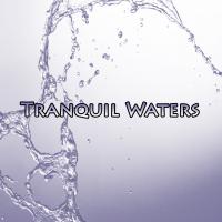 Artwork for Tranquil Waters by Sounds of Nature Relaxation