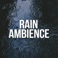 Artwork for Rain Ambience by Rain Sounds