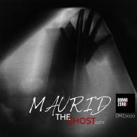 Artwork for The Ghost 432Hz by Maurid