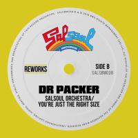 Artwork for You're Just The Right Size (Dr Packer Rework) by The Salsoul Orchestra