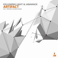 Artwork for Artifact by Following Light