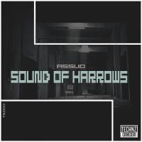 Artwork for Sound Of Harrows by Assuc