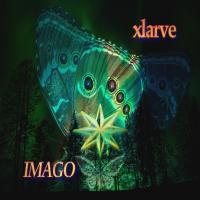 Artwork for Imago by Xlarve