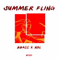 Artwork for Summer Fling by BBass