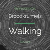 Artwork for Walking by Broodkruimels