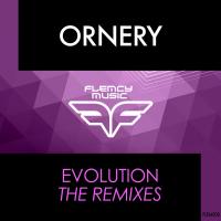 Artwork for Evolution Remixes by Ornery