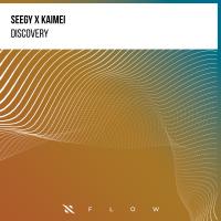 Artwork for Discovery by Seegy