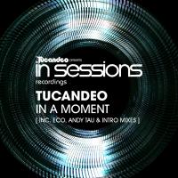 Artwork for In A Moment by Tucandeo