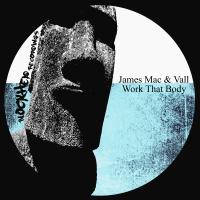 Artwork for Work That Body by James Mac