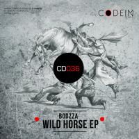 Artwork for Wild Horse EP by Bodzza