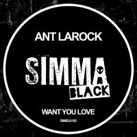 Artwork for Want You Love by Ant LaRock