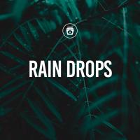 Artwork for Rain Drops by Rain Sounds