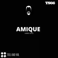 Artwork for AMIQUE by Harry Soto