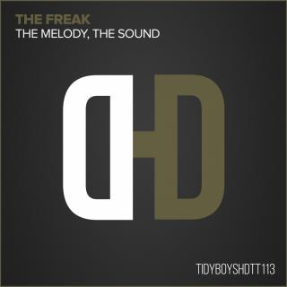 Artwork for The Melody, The Sound (Flutlich Remix)